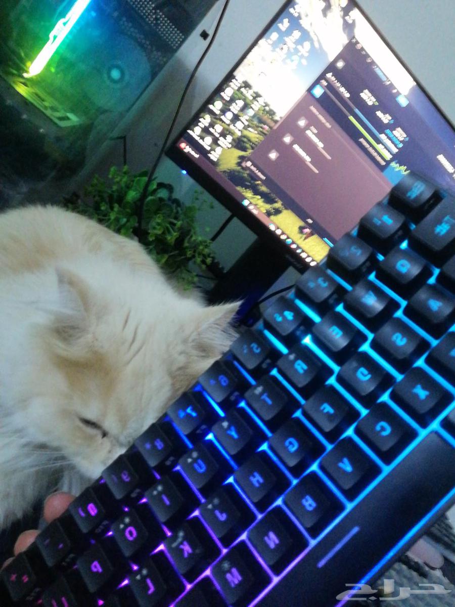 Black Gaming Keyboard64513410549506112