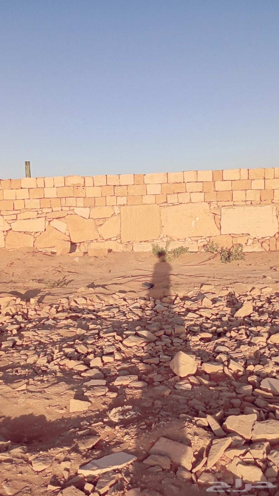 نقوم بعمل في الحجر الطبعي وفي التراث وقسم خاص الشبوك وتوريد64614110747905114