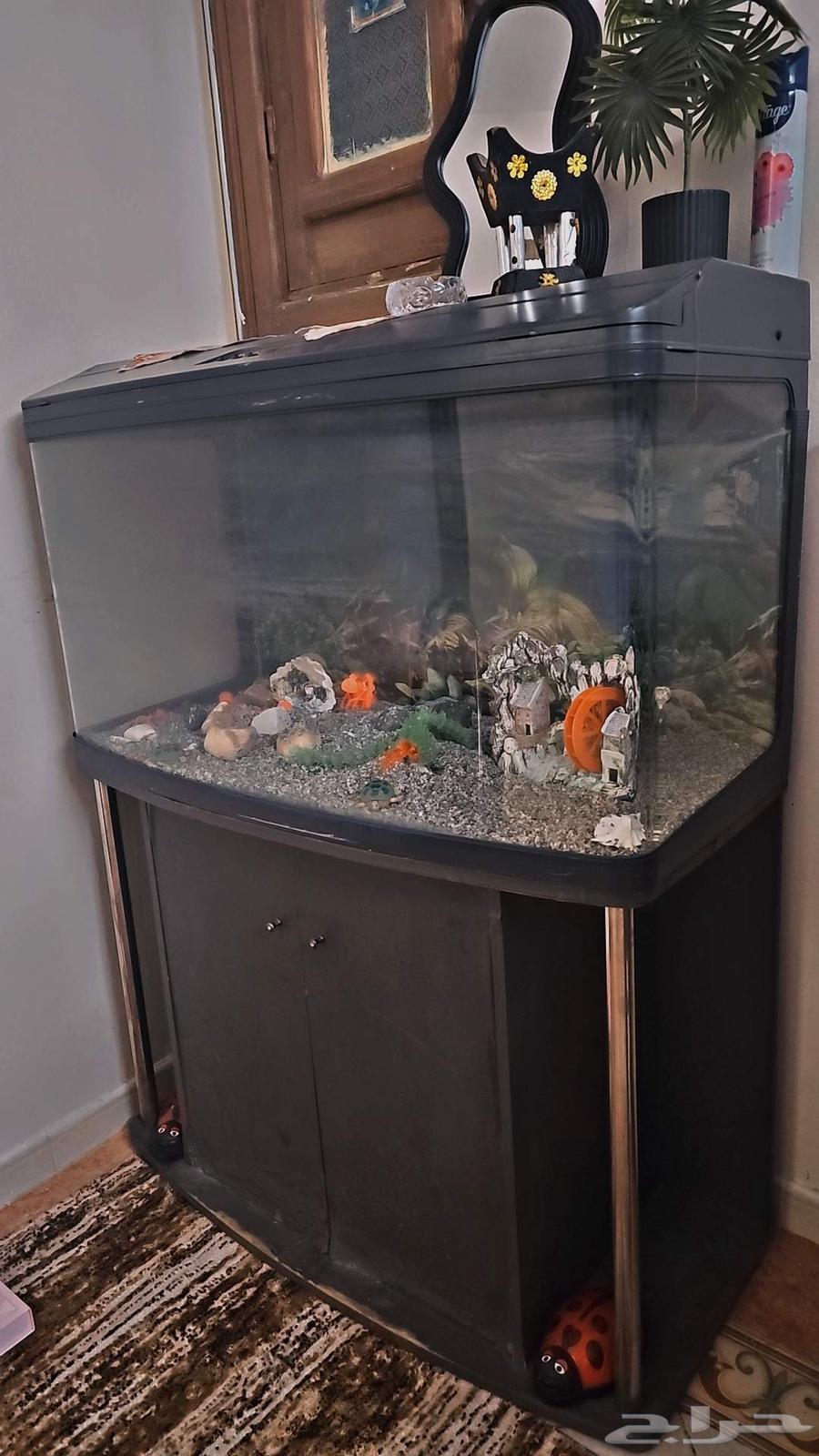 كنب بحالة ممتازة كبير ونضيف جدا لسرعة البيع بسبب السفر64517533429250111