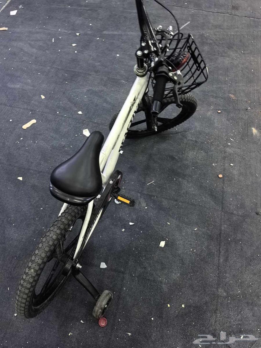 Bicycle size 1864515850015874112