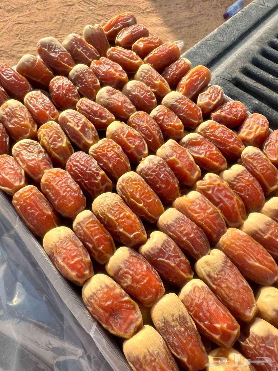 Tamar Saq'i with ring64512566781697111