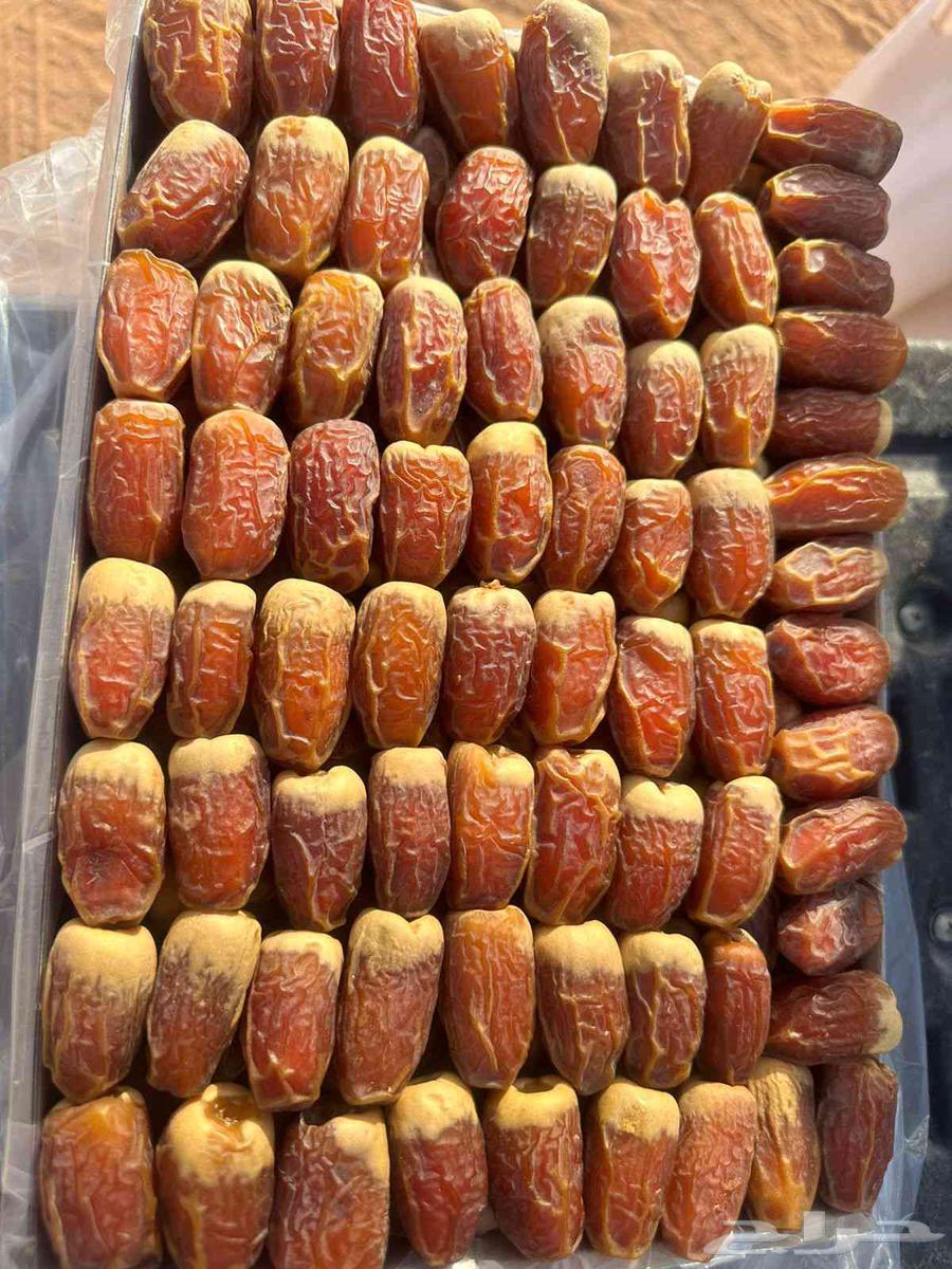 Tamar Saq'i with ring64512566781697110