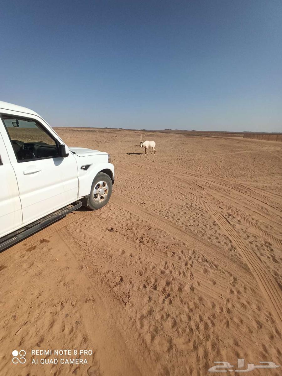 مظلات سواتر هناجر برجولات جلسات خيزران سقف بنل مواقف سيارات64260486039938113