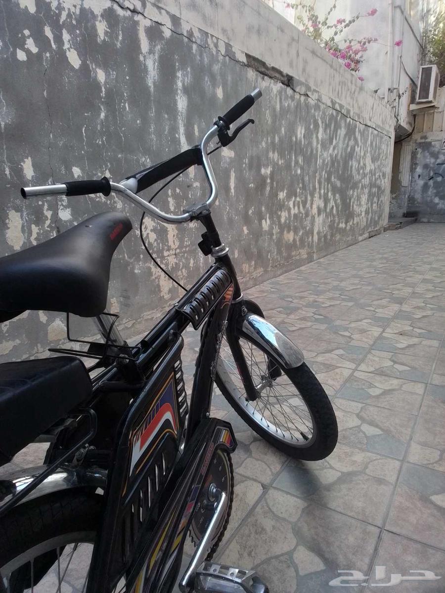 سيكل رمبو اندونيسي مقاس 2064514265537667113