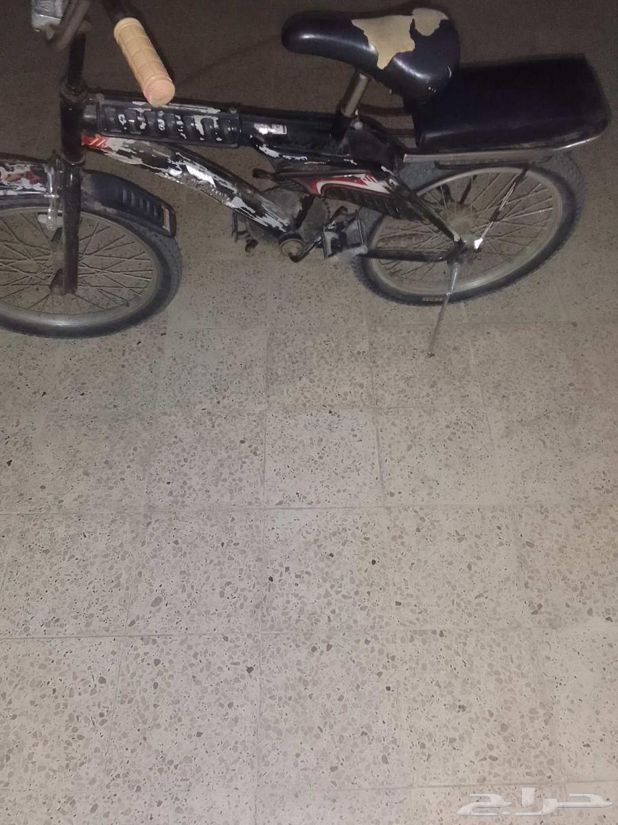 User Cycle64516525212801113