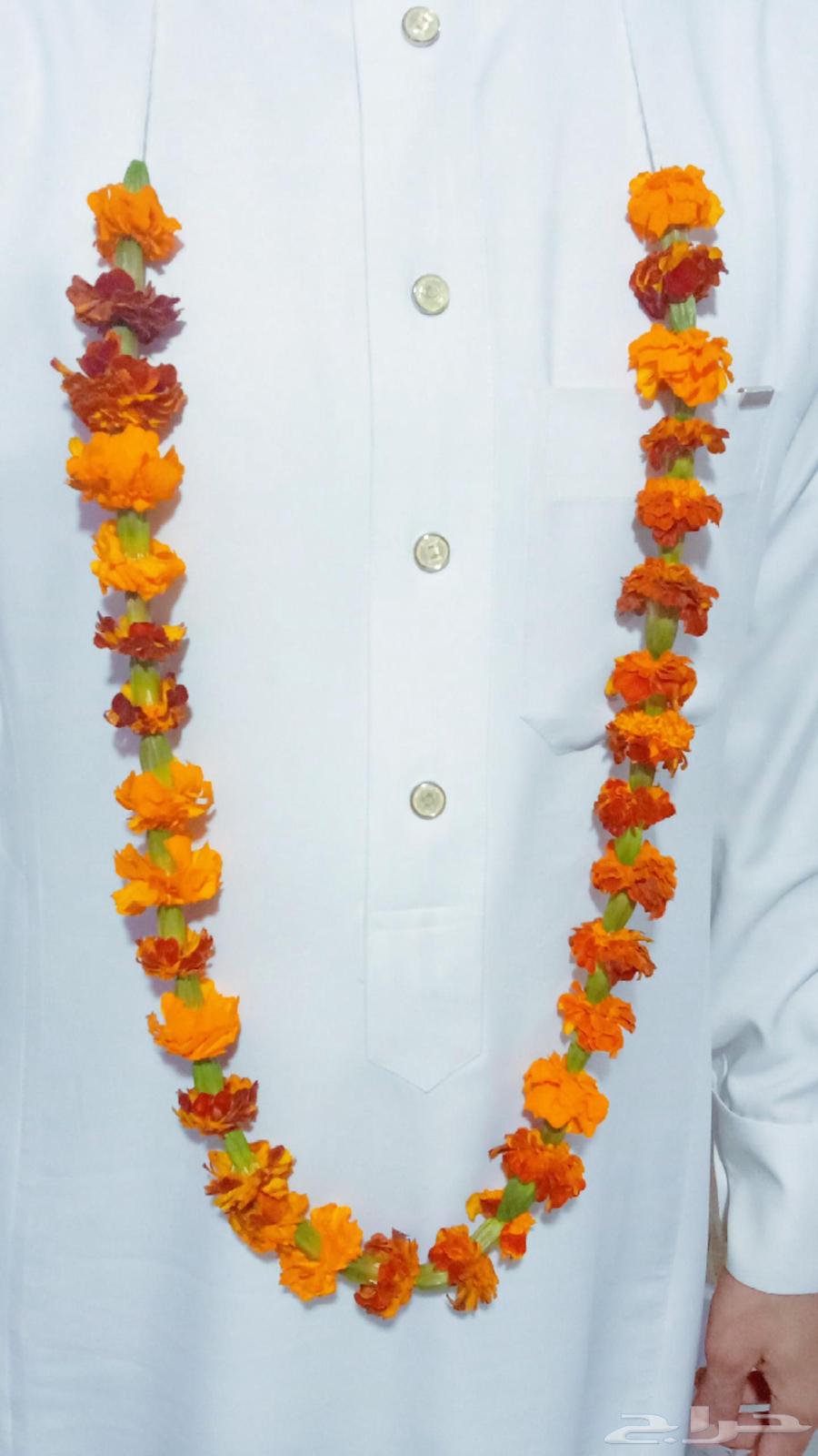 Roses and Jasmine Contracts64511339782914110