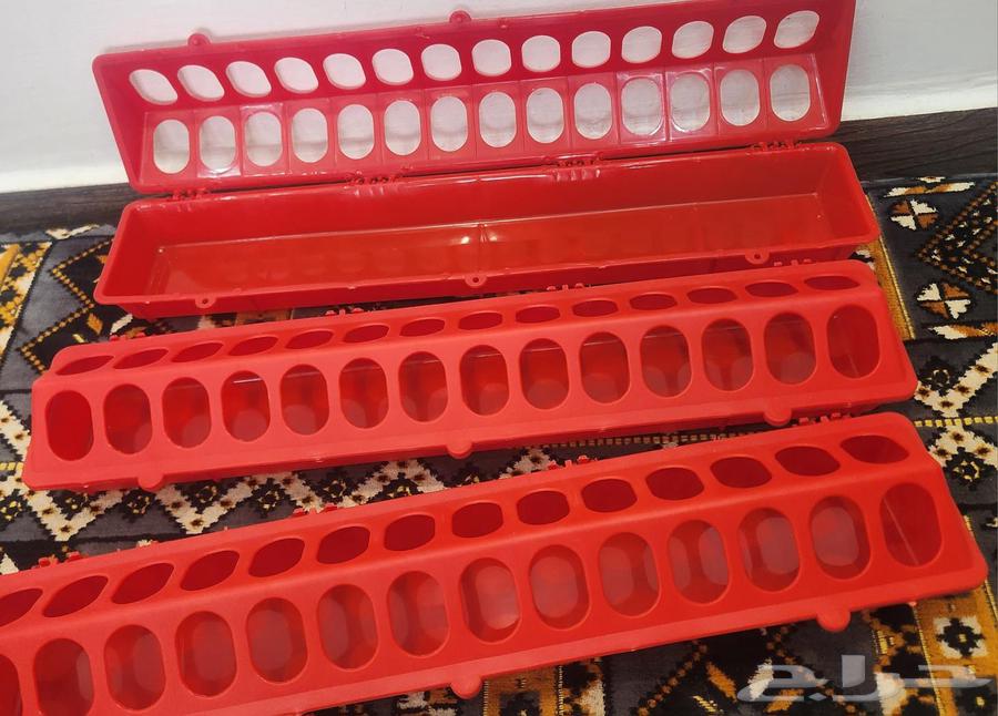 علافات صيصان العدد 10حبات جدد64510803336577110