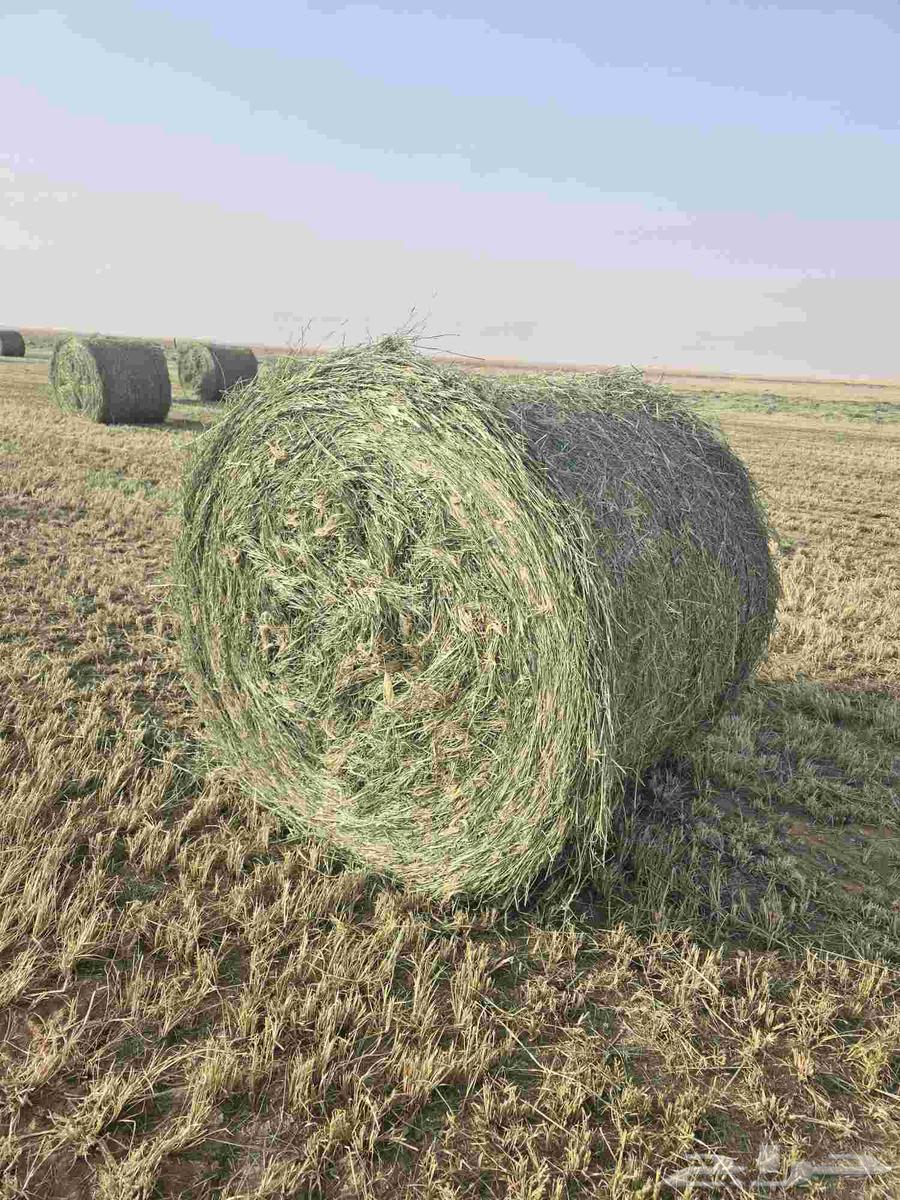 Rods size 130 smooth64515206903043110