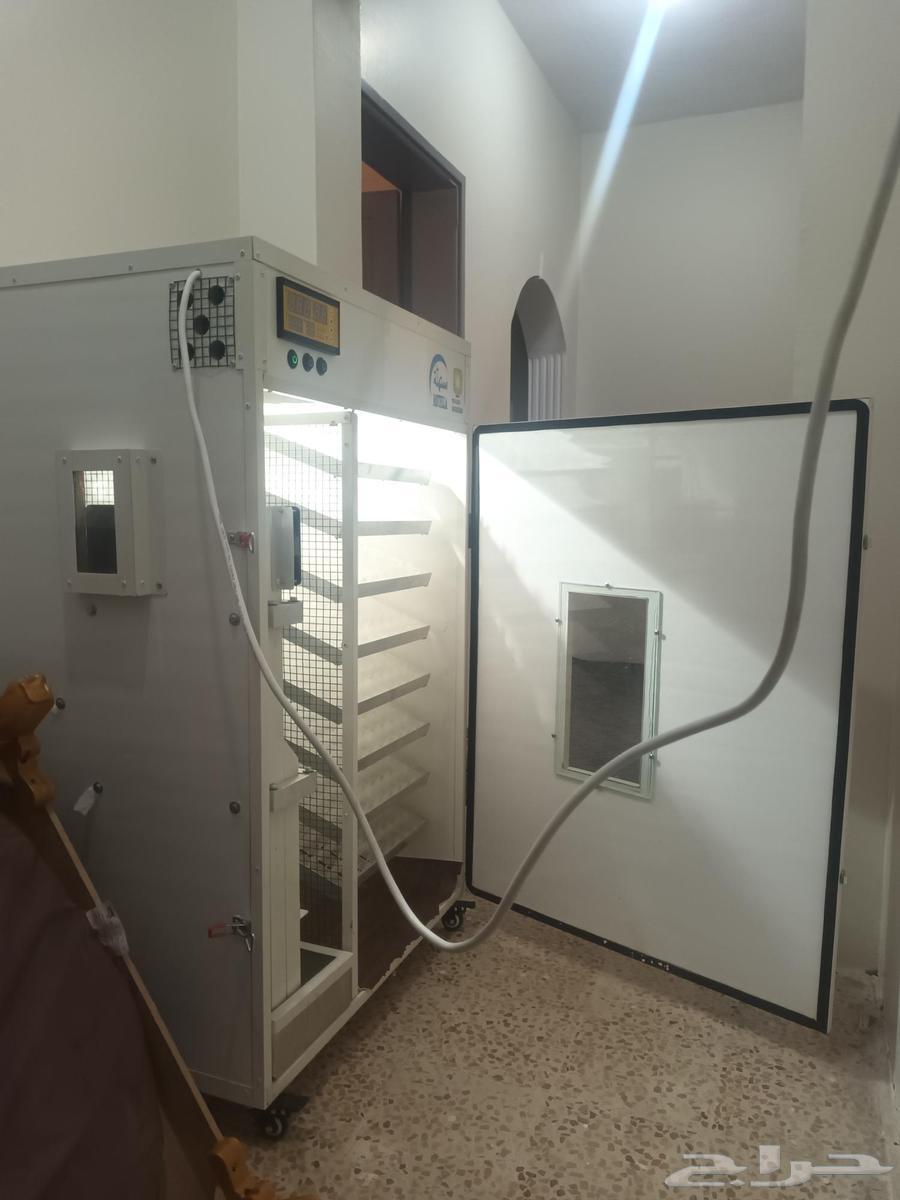 Hatching machine for 700 eggs, hatching rate 90%, God willing. The incubator is new condition.64514306712705111