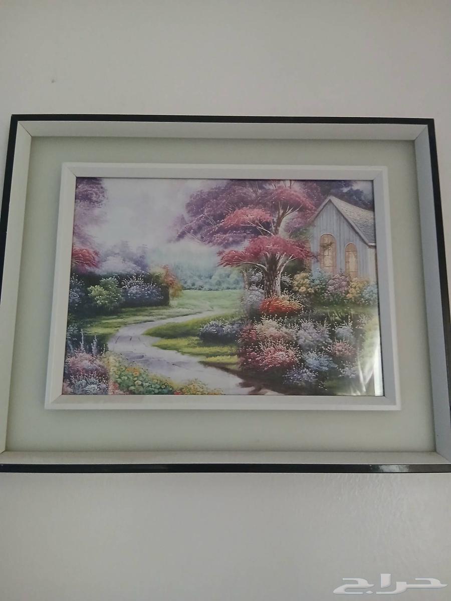 صور مناظر طبيعية64515611949569110