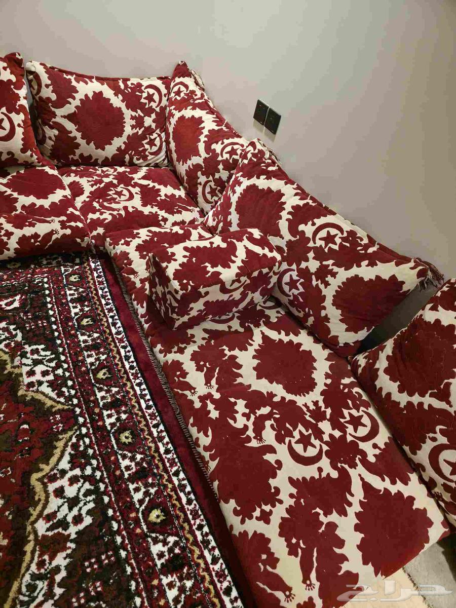 جلسه عربي مجلس ومكتبه64517889188355113