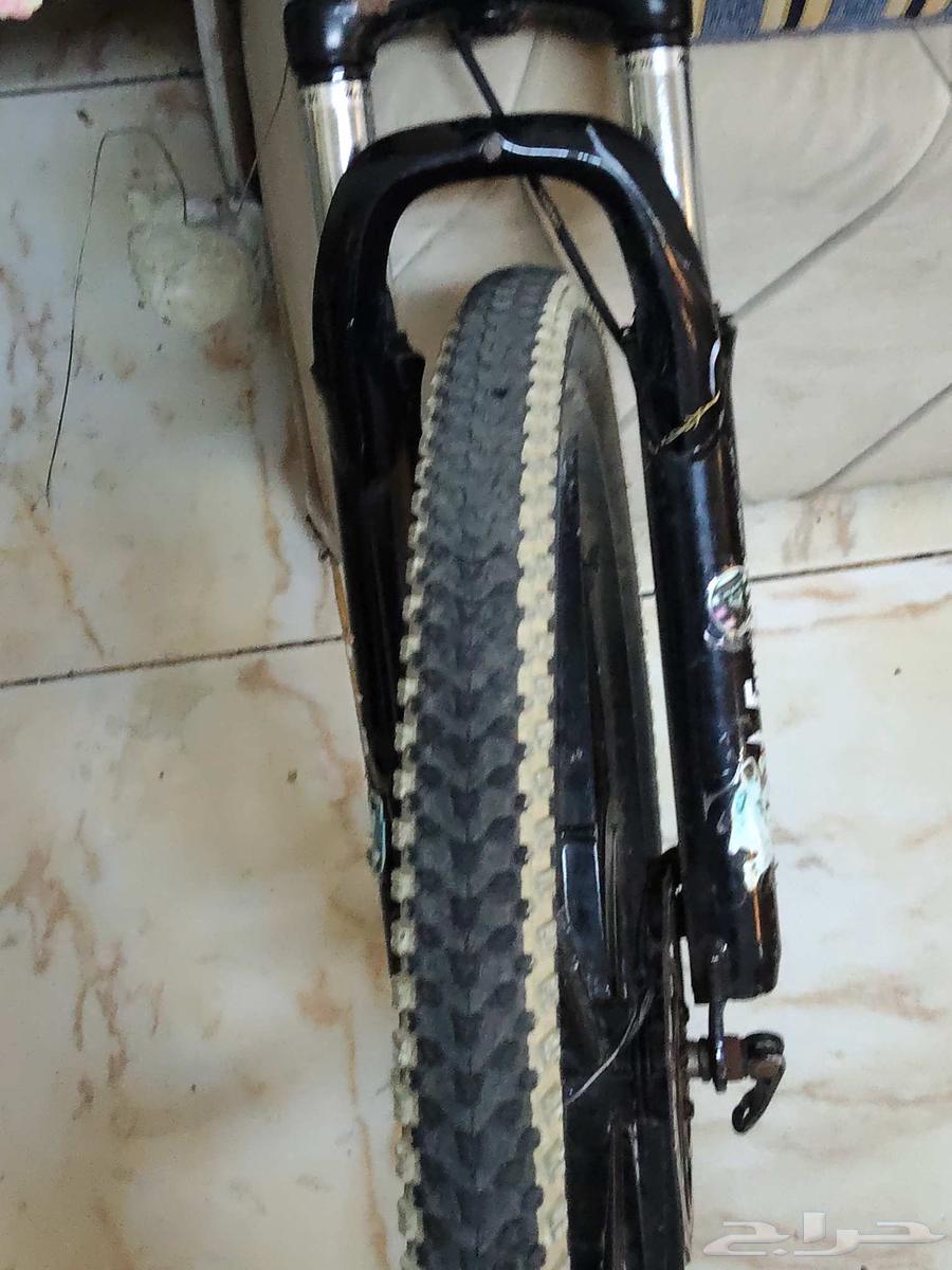 سيكل كبير للبيع السعر 90064513907796355110