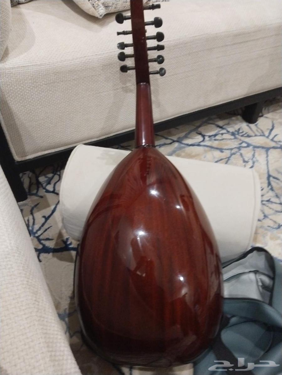 عود للبيع جديد له معاي شهر ونص64517533421187110
