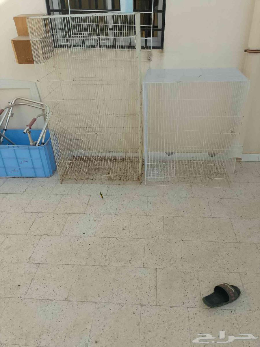 قفصين مطير ب7564512231820163110