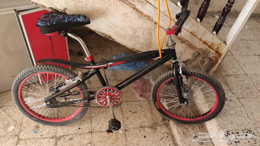 Bicycle size suitable for those aged 18 and under64517192173185110