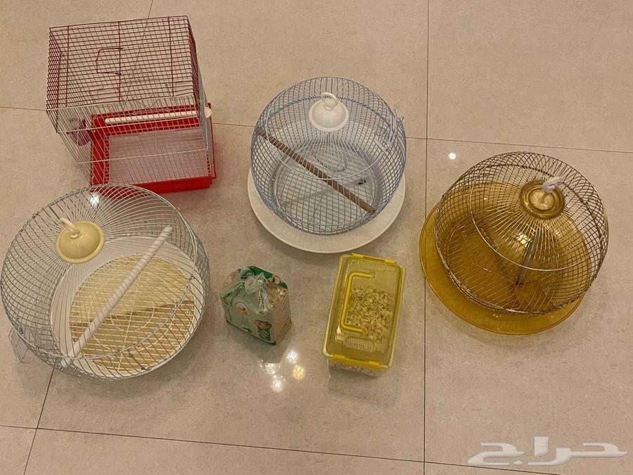 للببع اقفاص64514017375235113