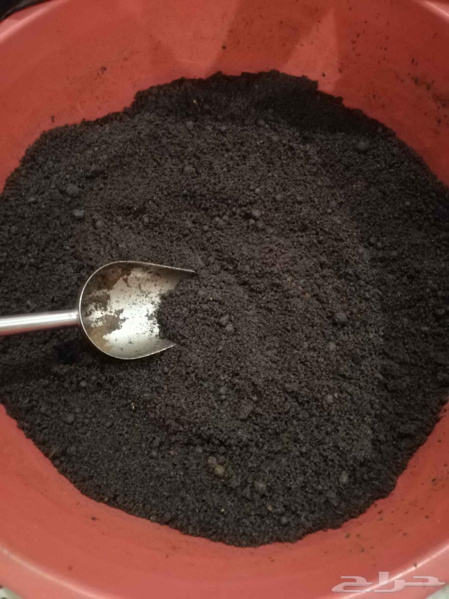 معمول ملكي اومعمول كويتي جمل زيوت العطريه الاصليه64514017335811114