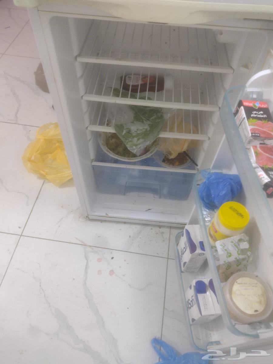 ثلاجه نضيفه على الشرط64513258376706113