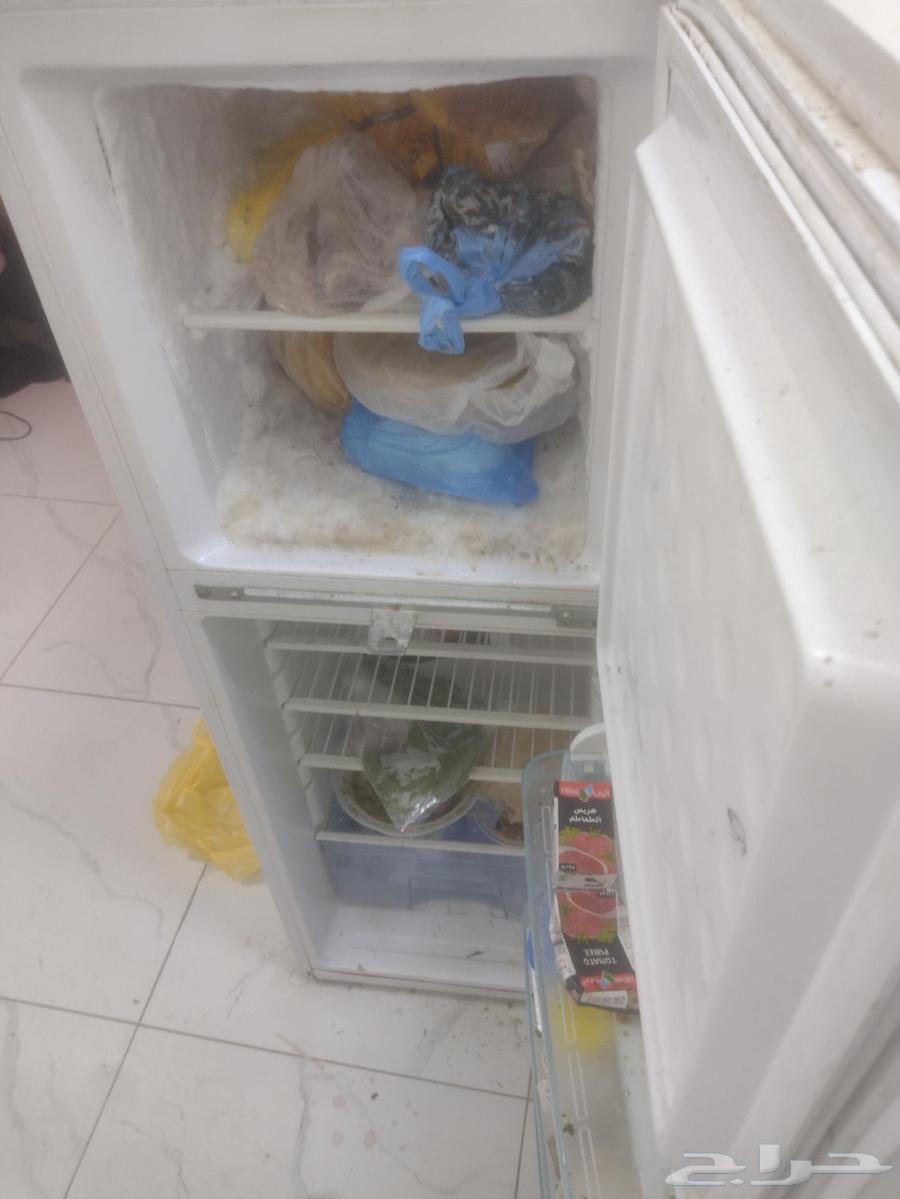 ثلاجه نضيفه على الشرط64513258376706110