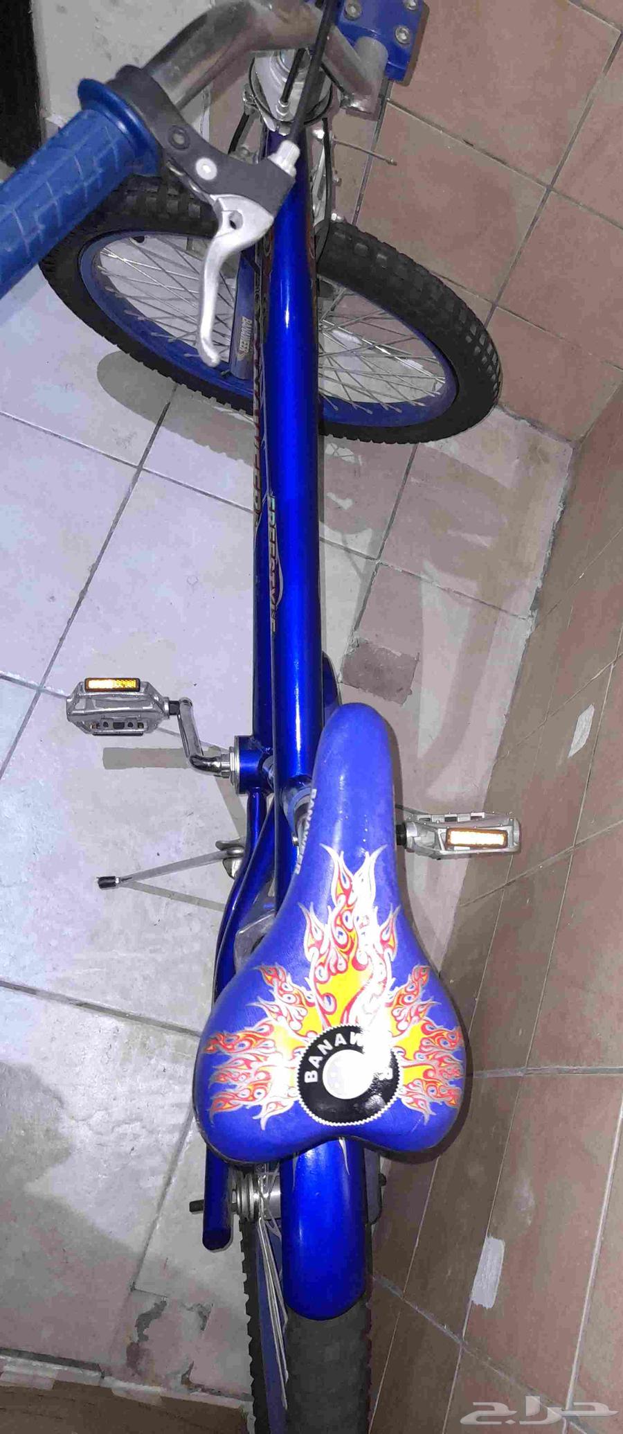 bicycle دراجه سايكل كوبرا64513135459074111