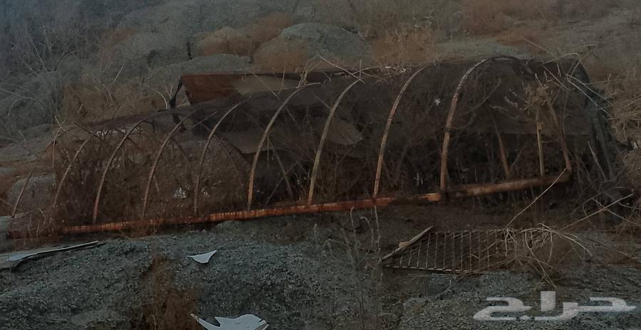 شبك للبيع كبير على السوم نظيف جدا64511478604162110