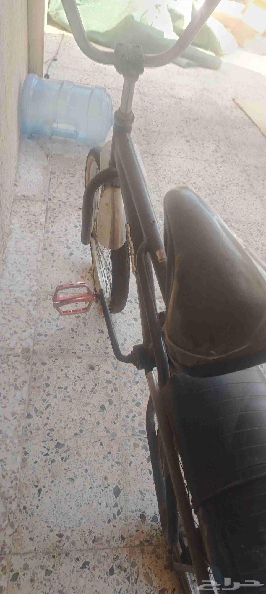 سيكل رامبو وسكوتر واقف64512873662337110