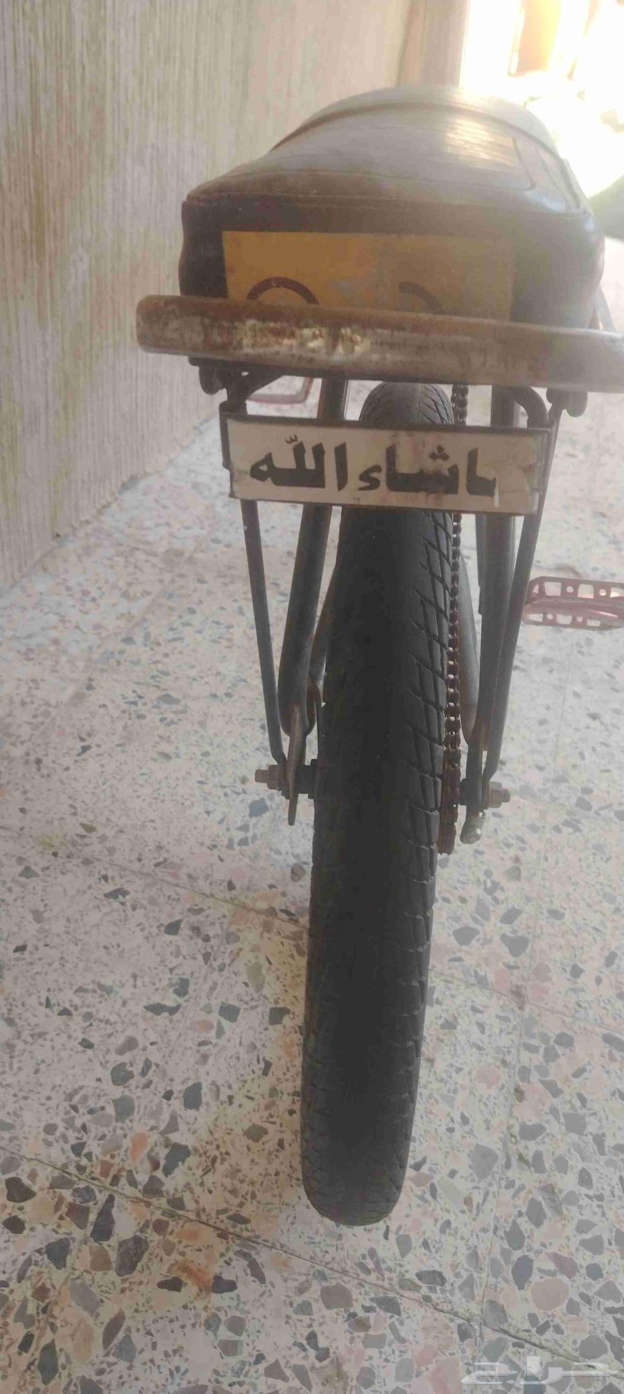 سيكل رامبو وسكوتر واقف64512873662337112