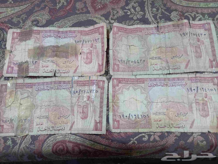 ريال الملك فيصل رحمه الله64515416944258110