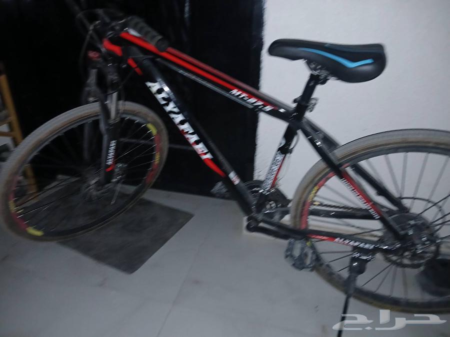 سيكل للبيع64514169186562110