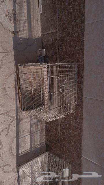 قفص طيور للبيع64514886751362110