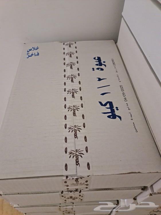 Khalas dates at wholesale price and lower64512706041475111