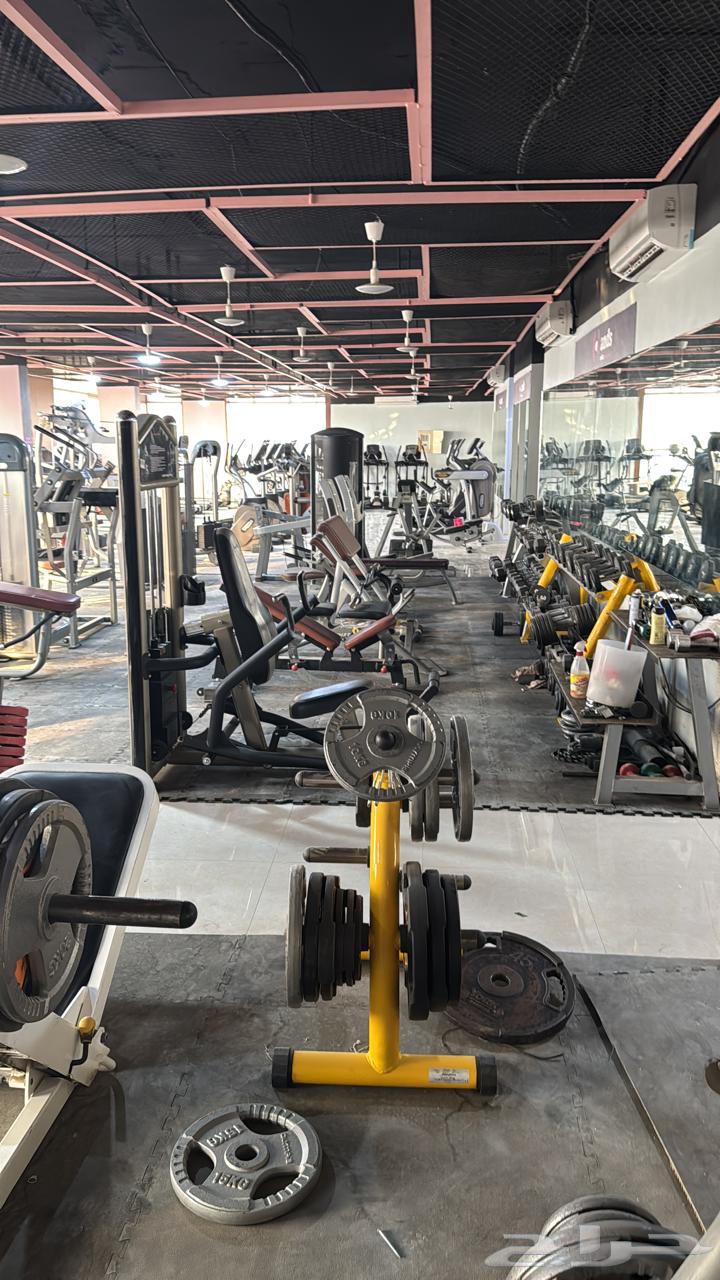 اجهزة رياضية صالة كاملة اجهزة مريكي حديد وكارديو64515039479683110