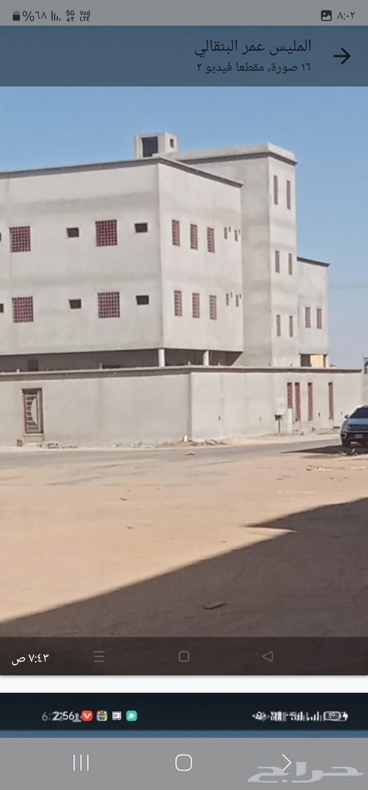 مليس معلم فوق الكفوف64590507691650110