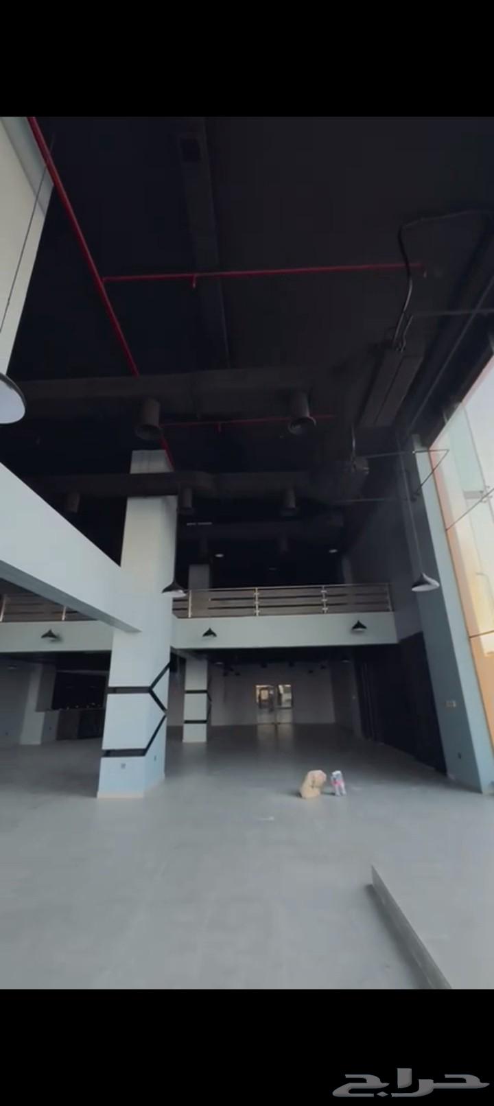 كوفي لونج للبيع64513355052931111