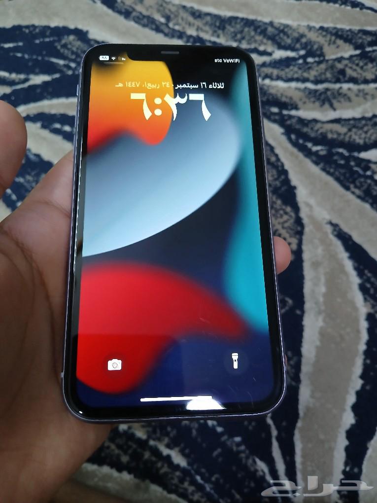 iPhone 11 from Jarir64516169773313112