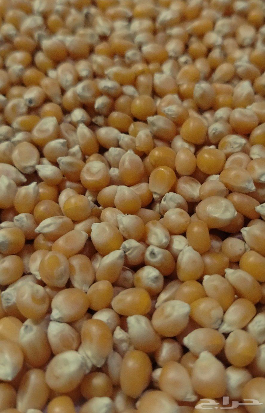 We have first-class Turkish popcorn available64511185200385110