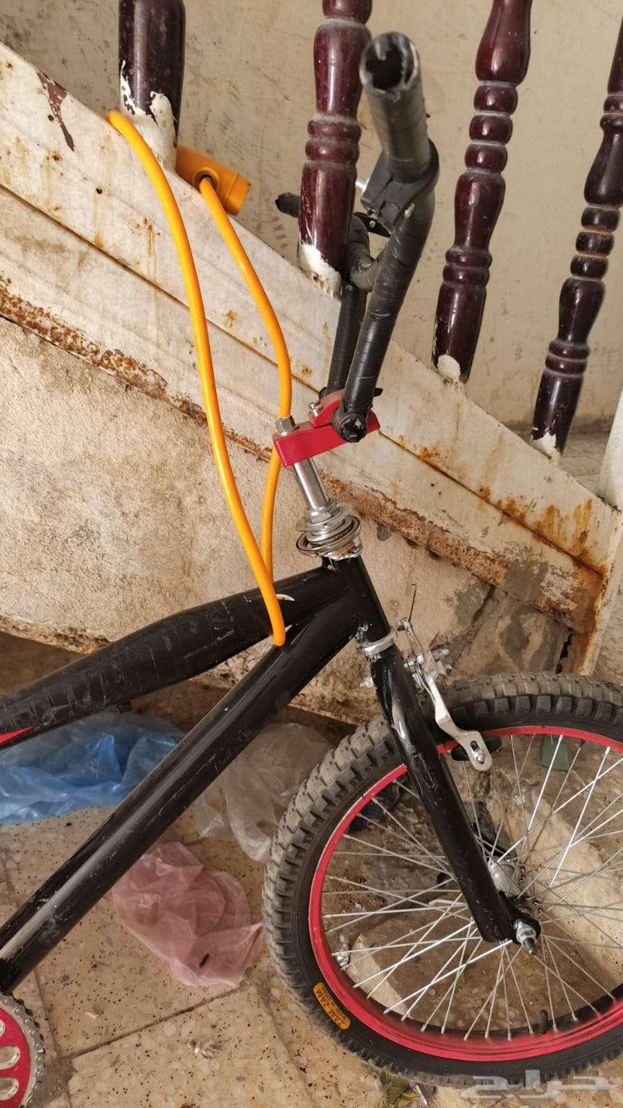 Bicycle size suitable for those aged 18 and under64517192173185114