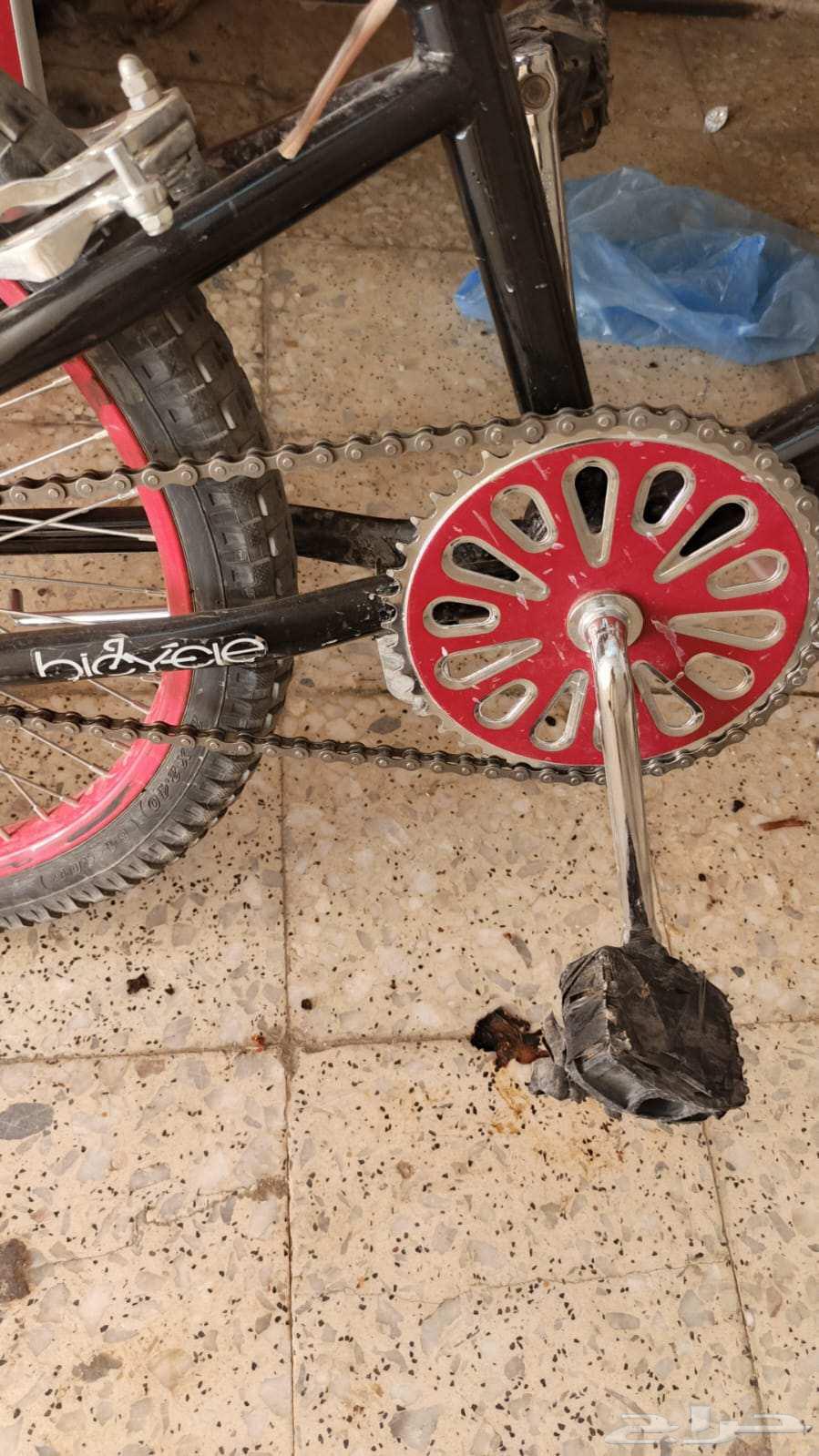 Bicycle size suitable for those aged 18 and under64517192173185111