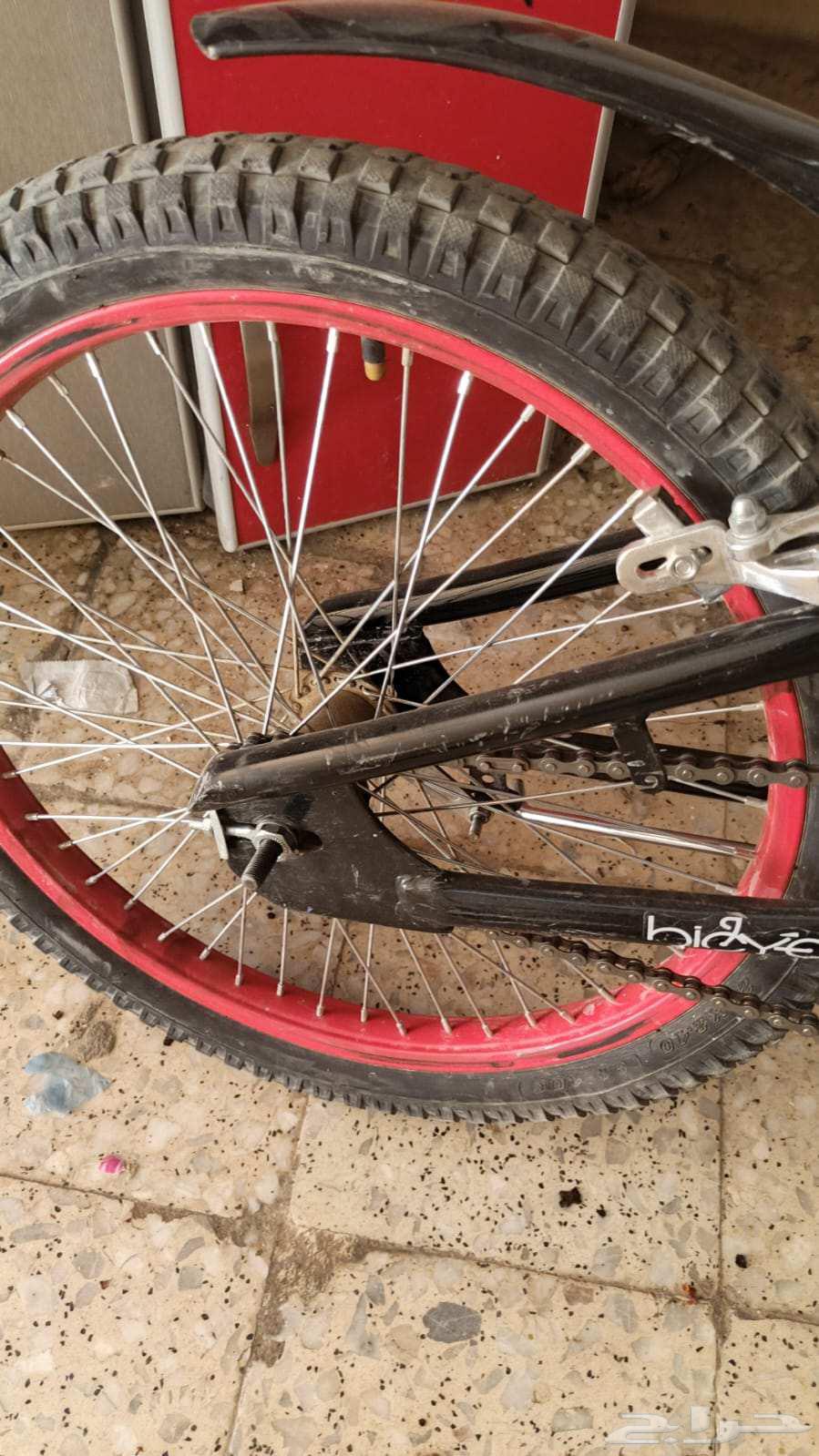 Bicycle size suitable for those aged 18 and under64517192173185112