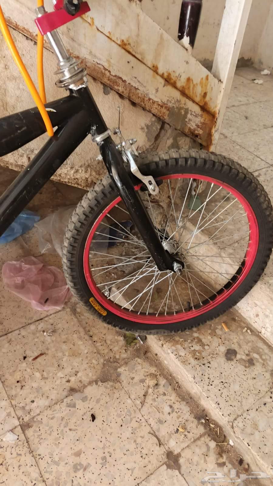 Bicycle size suitable for those aged 18 and under64517192173185113