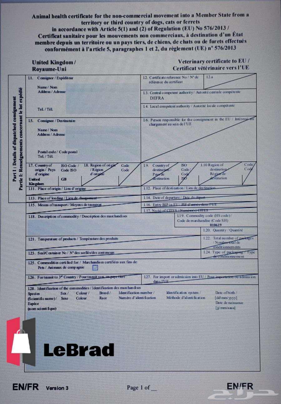 قط ذكر منشكن ابسولو NY11 نوادر64406513808642112