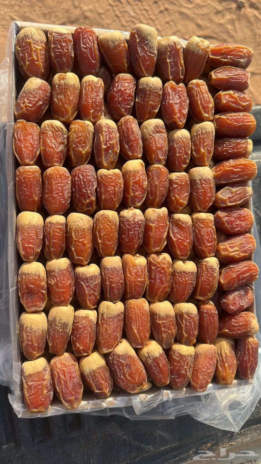 Tamar Saq'i with ring64512566781697112