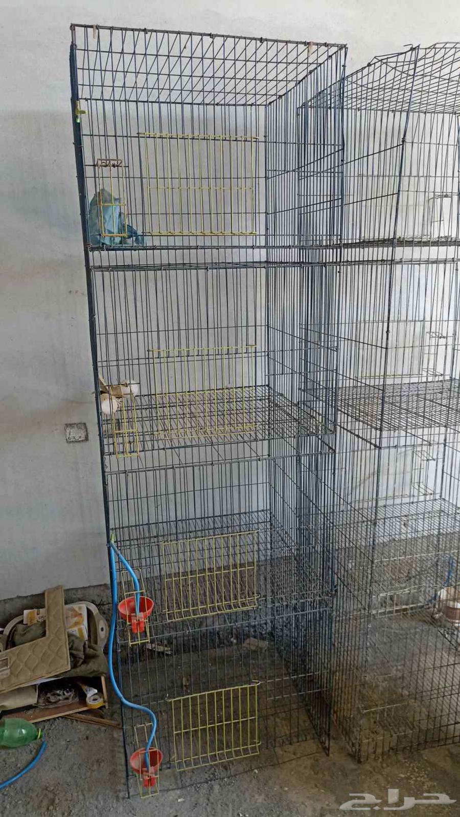 Pigeon coop64516935991043110