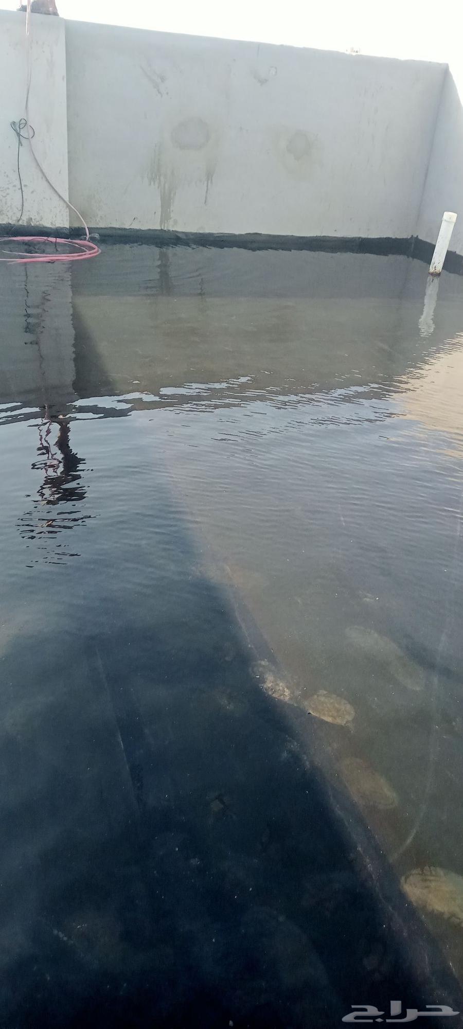 فني وتركيب عوازل ماني وحراريه64250310863363113