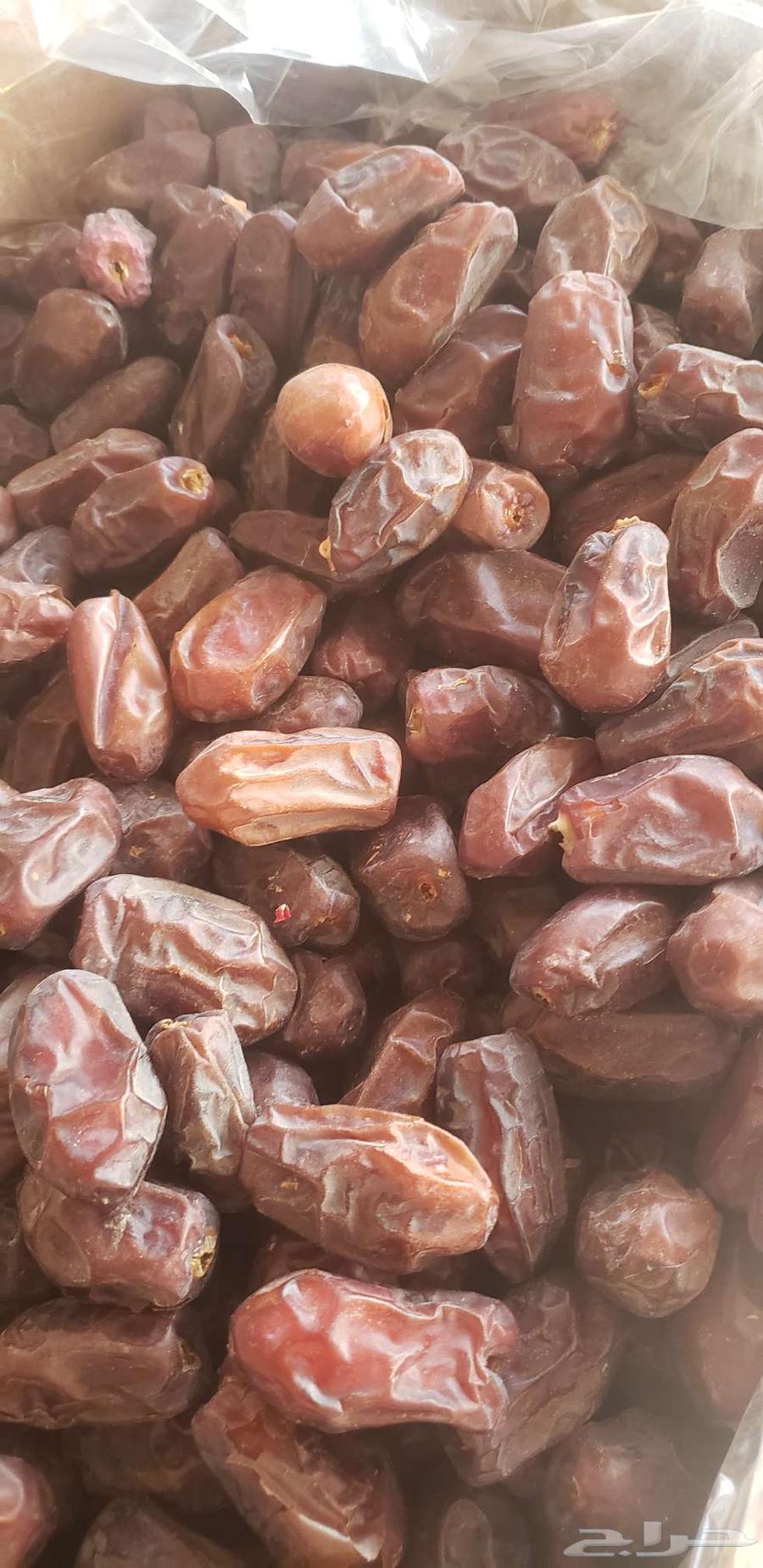 خظري للبيع64517988884354110