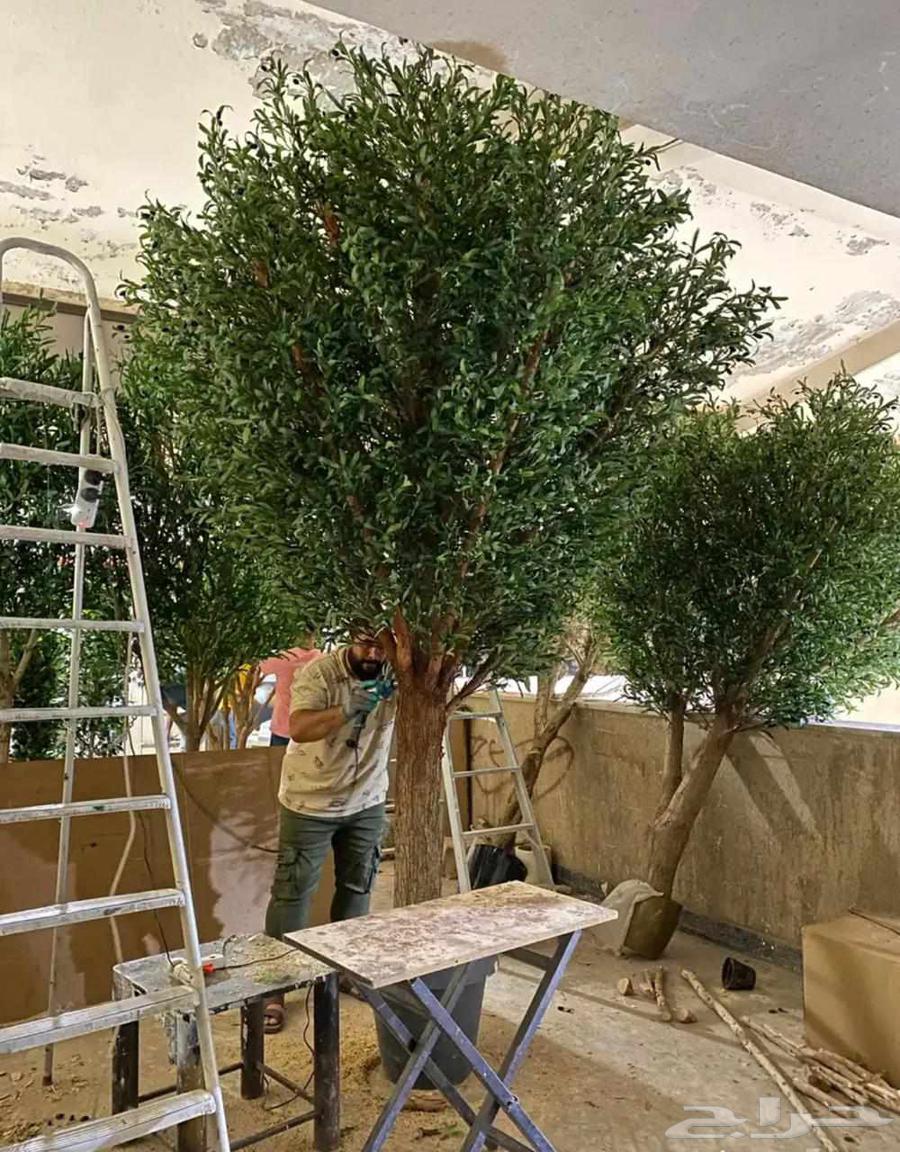 Artificial Trees and Fiber Pots64522201750913110