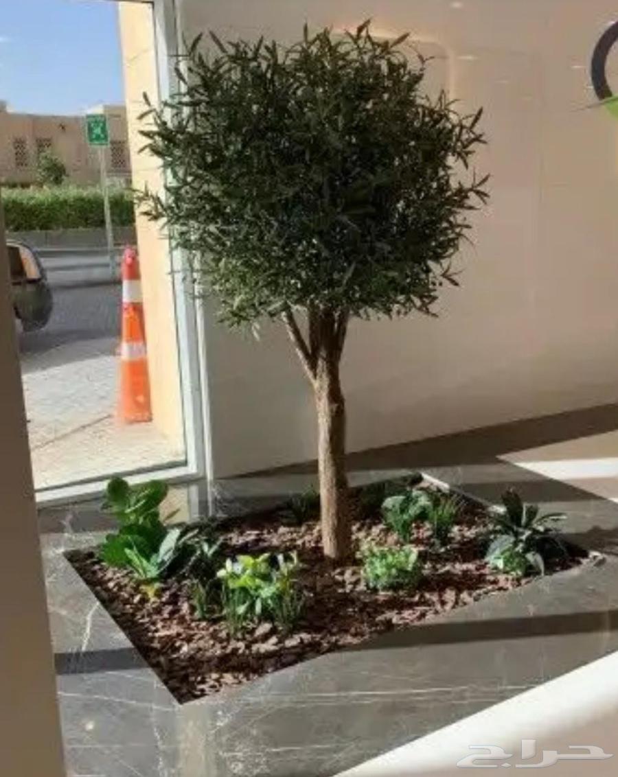 Artificial Trees and Fiber Pots64522201750913112