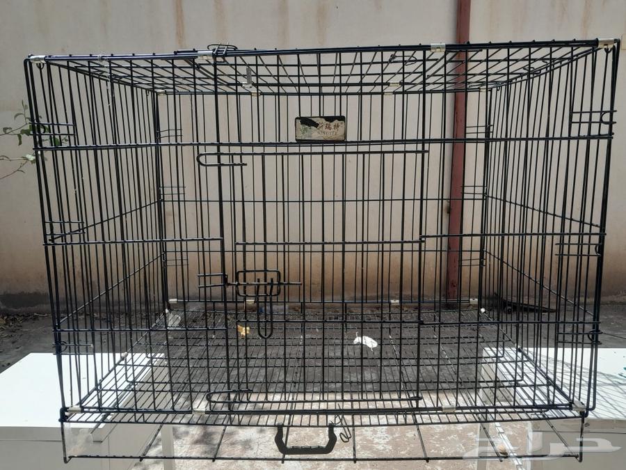 عرض خاص خاص 50 ريال فقط64521168932353110