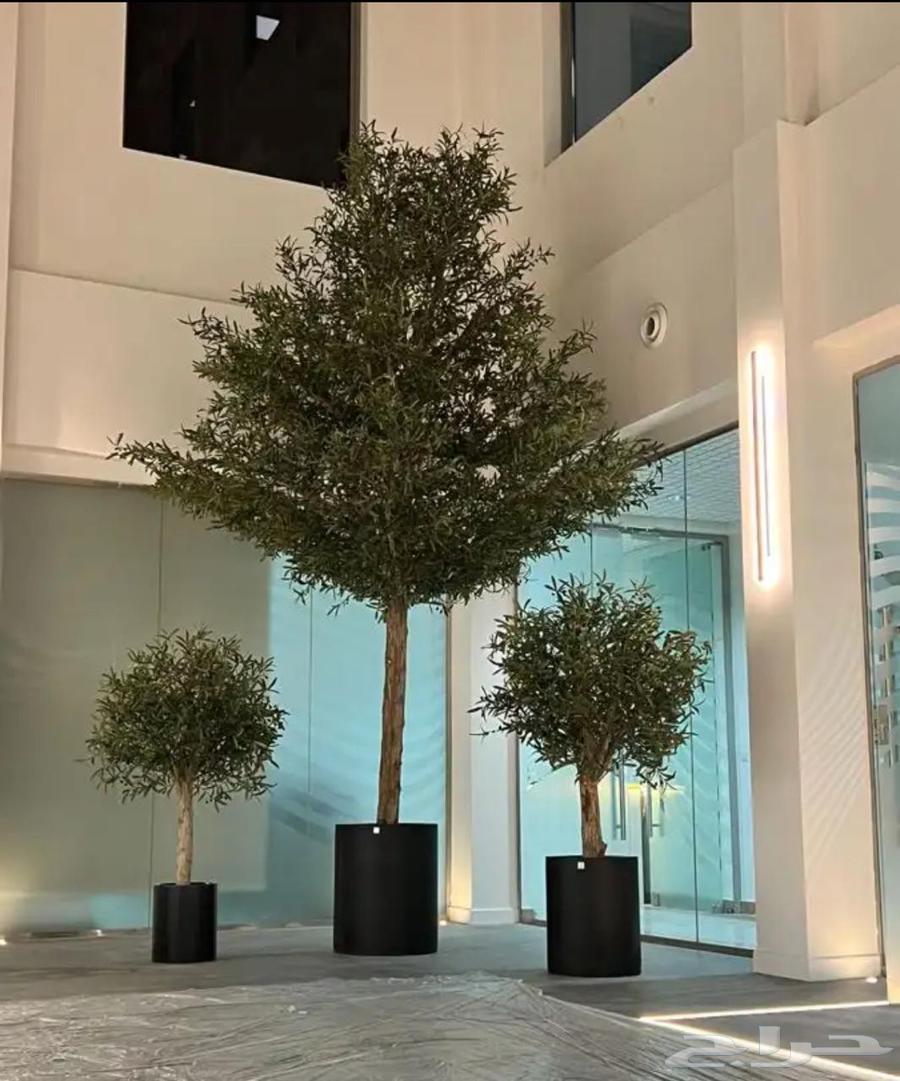 Artificial Trees and Fiber Pots64522201750913113