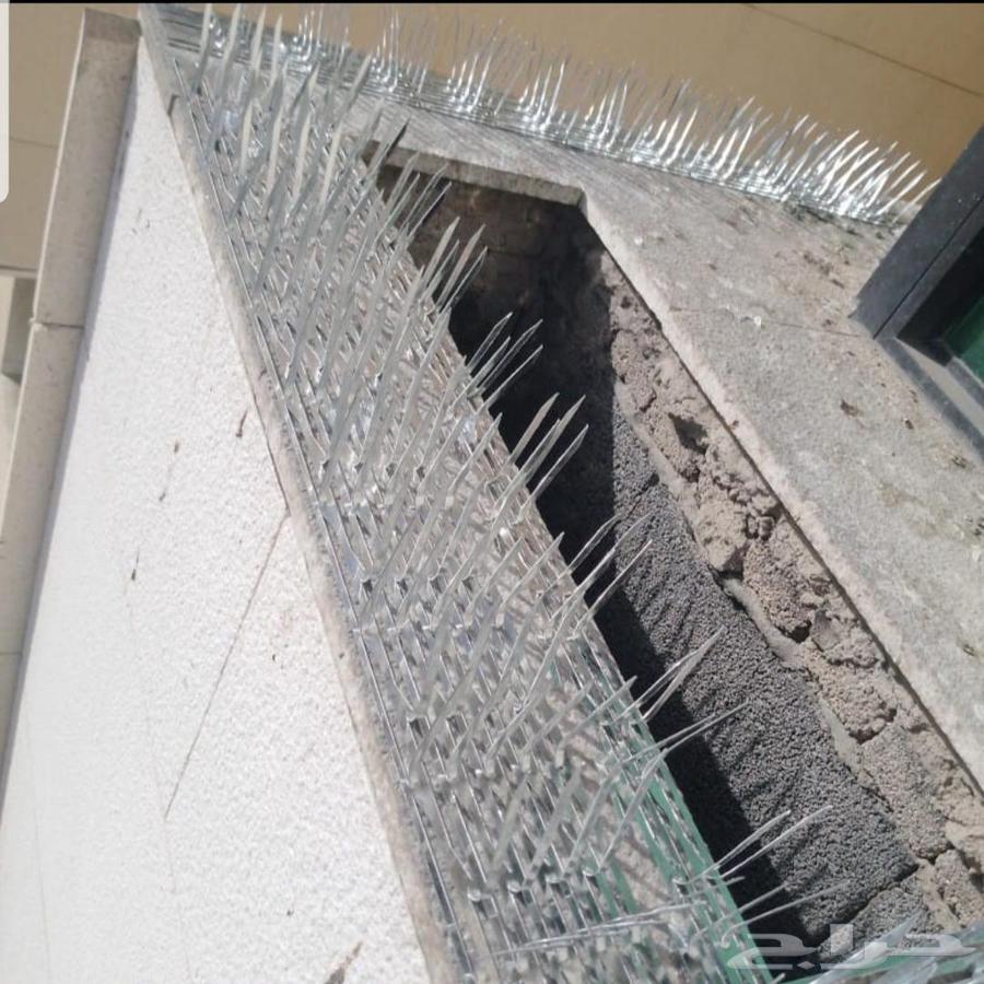 Pigeon Repeller in Jeddah, Installation and Sale of Pigeon Spikes and Nets64237605221249112